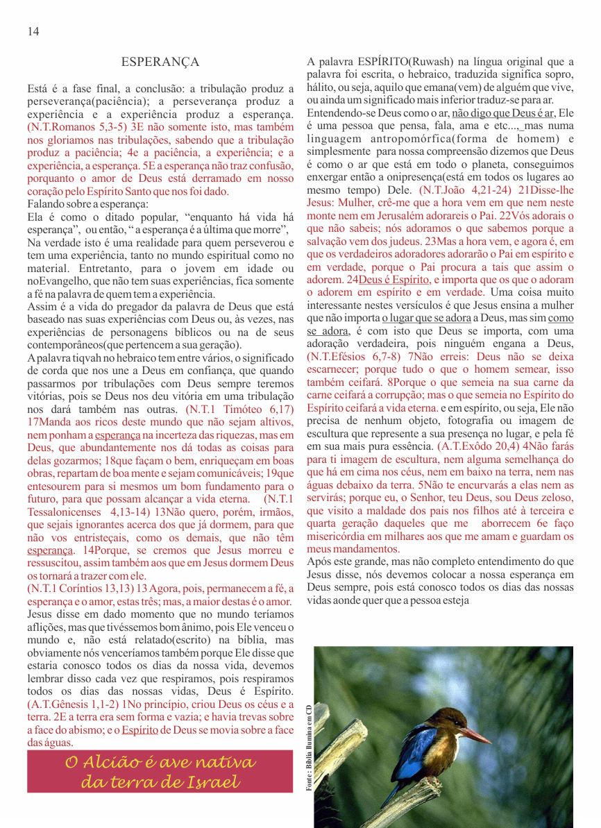 Entendendo A Bíblia - A revista do conhecimento