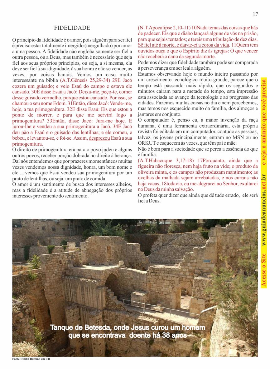 Entendendo A Bíblia - A revista do conhecimento