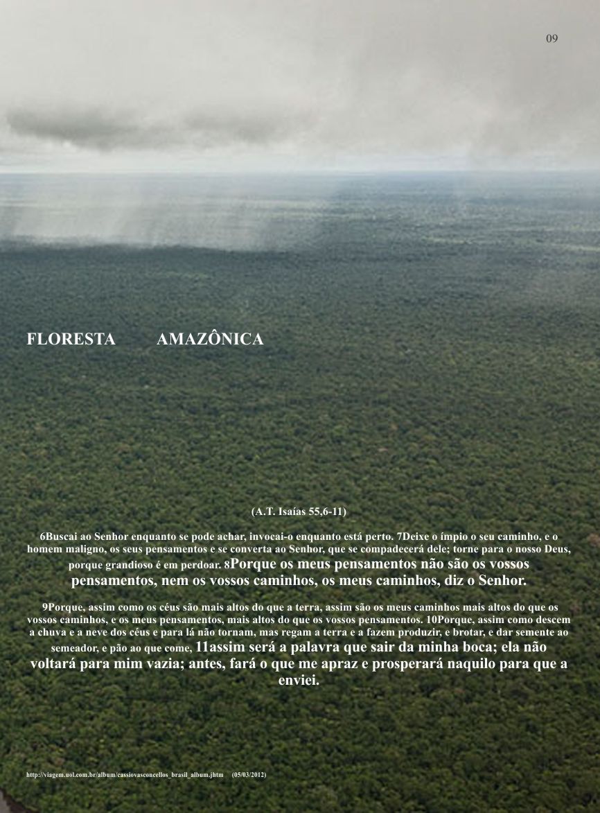 Entendendo A Bíblia - A revista do conhecimento